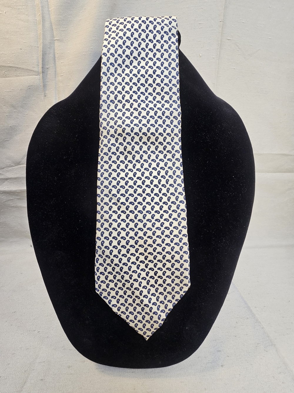 Christoper Hayes Men's White Tie with Navy Paisley Pattern